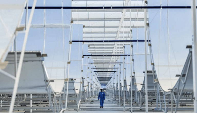 Das Bild zeigt einen Mann wie er durch große Solarpanels läuft